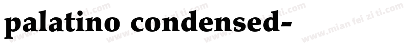 palatino condensed字体转换